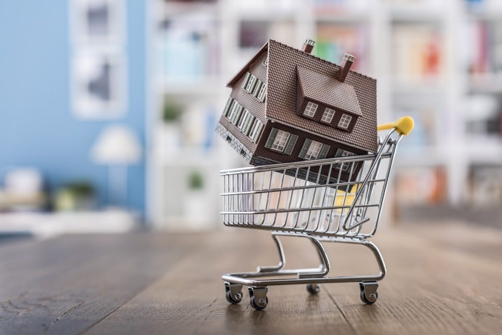 The Do's and Don'ts of Buying a Home - Home in Shopping Cart