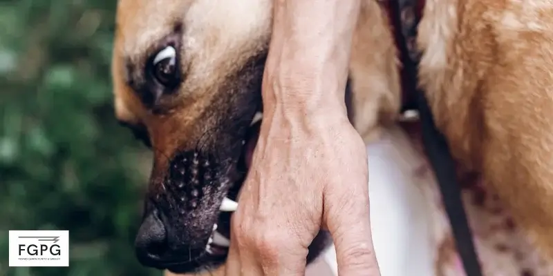 best poplar grove dog bite attorney best poplar grove dog bite attorney